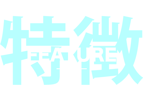 FEATURE 特徴